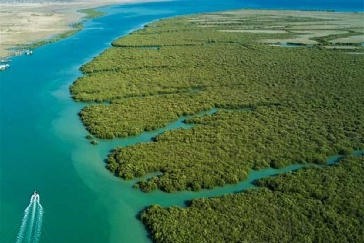 جنگل حرا قشم در تنگه خوران بین جزیره قشم و بندر خمیر قرار دارد فاصله جنگل حرا تا قشم زیاد نیست و حتی بخشی از این جنگل در نزدیکی ساحل بندر لافت نیز قرار گرفته است. برای بازدید از این جنگل ابتدا باید از طریق شناور و یا قایق‌های مسافربری به جزیره قشم بروید.