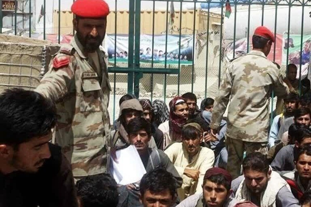 رسانه‌ها از بازداشت ۲۵۰ پناهجوی افغانستان در پاکستان در ۲۴ ساعت گذشته خبردادند.