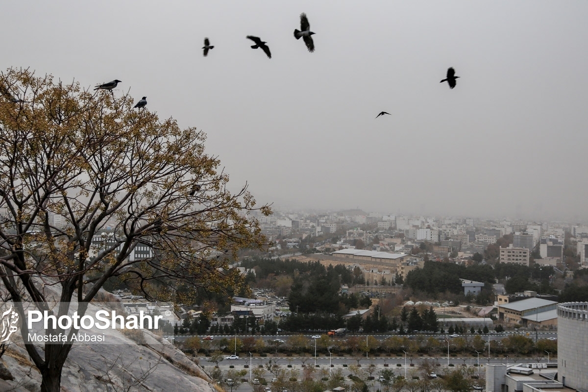 معاون اول رئیس کمیته حفاظت محیط زیست جمهوری تاجیکستان با اشاره بر تفاهمنامه‌های موجود با ایران در خصوص مراقبت از حیات وحش و حیوانات اظهار کرد: ما باید از تجربه‌های ایران برای مقابله با گرد و غبار استفاده کنیم.