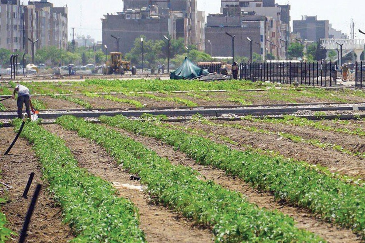 فاز دوم بوستان کشاورز در روز‌های آینده افتتاح و ۲۰ هکتار دیگر به فضای سبز شهر اضافه می‌شود