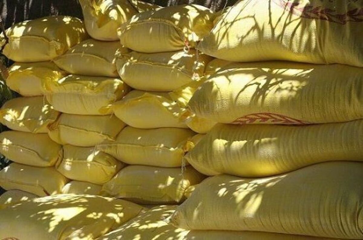 مدیر تعاون روستایی خراسان رضوی از توزیع بالغ بر ۶۴ هزارتن آرد روستایی توسط شبکه تعاون روستایی خراسان رضوی در ۶ ماه نخست سال جاری خبر داد.