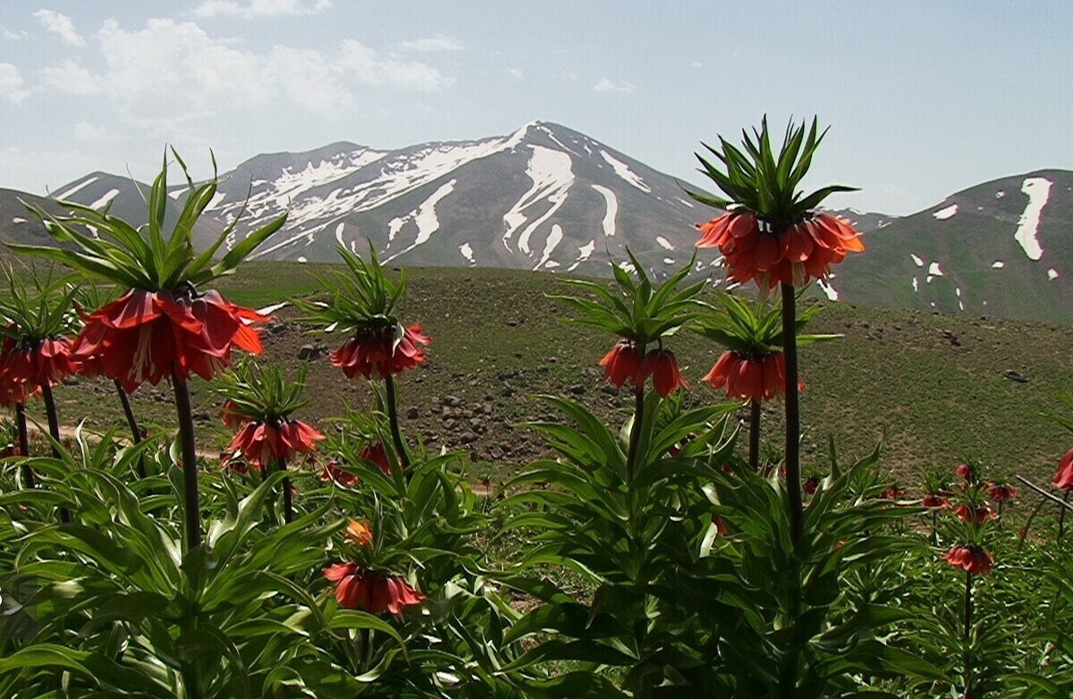 استان چهار محال و بختیاری با داشتن جاذبه‌های گردشگری و طبیعی فراوان هر مسافر و گردشگری را به شهر می‌کشاند.