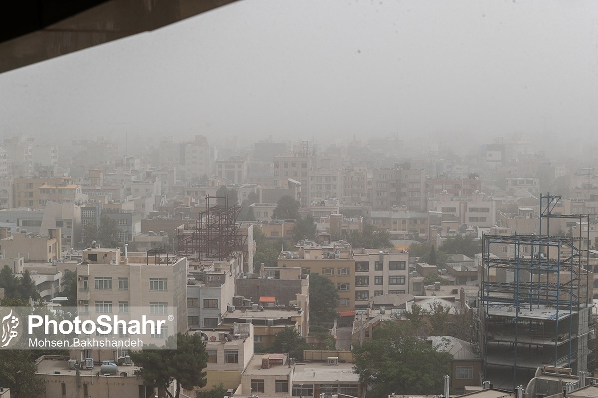 مدیرکل پایش فراگیر سازمان محیط زیست کشور گفت: اولویت سازمان محیط زیست و شهرداری‌ها در گام اول بهبود شرایط محیط‌زیست شهری و کاهش انتشار آلاینده‌ها و شناسایی واحد‌های آلاینده است؛ در صورتی که کاهش آلاینده‌ها رخ ندهد، این حق مردم شهر است که بتوانند از عوارض آلایندگی استفاده کنند. ما در سازمان محیط زیست تلاش می‌کنیم این حق به شهر‌ها برسد.
