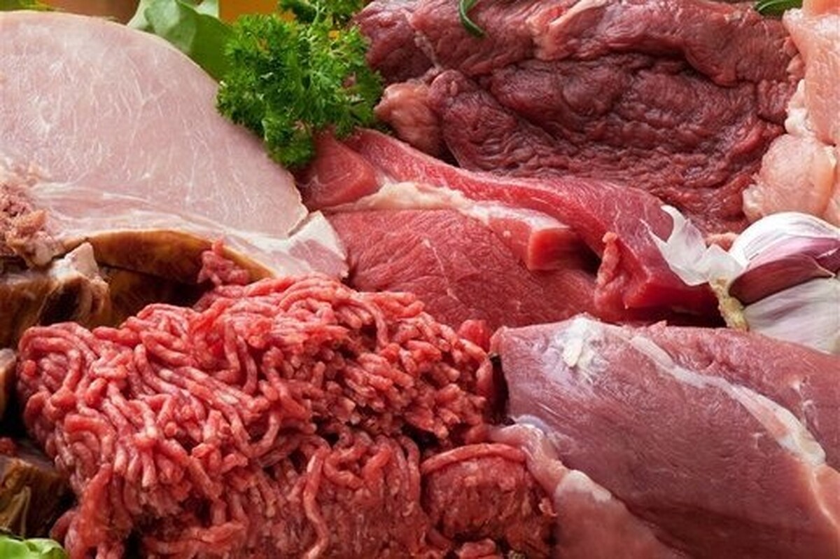 رییس شورای تامین کنندگان دام کشور گفت: گوشت‌های وارداتی در بازار با قیمت دولتی و بیشتر در تهران و البرز عرضه می‌شوند. قیمت لاشه گوشت وارداتی در فروشگاه‌ها زنجیره‌ای یا تنظیم بازاری، گوسفندی ۳۱۵ هزار تومان و گوساله ۲۶۵ هزار تومان است.