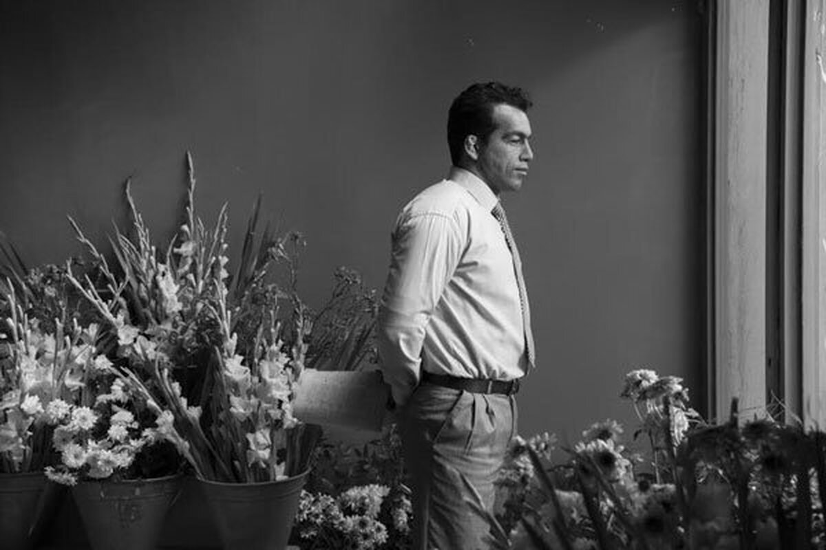 تلویزیون برای امروز و فردا، ۲۷ و ۲۸ مهر ماه، ۳۷ فیلم سینمایی و تلویزیونی آماده پخش کرده است که از شبکه‌های مختلف سیما به روی آنتن می‌برد.