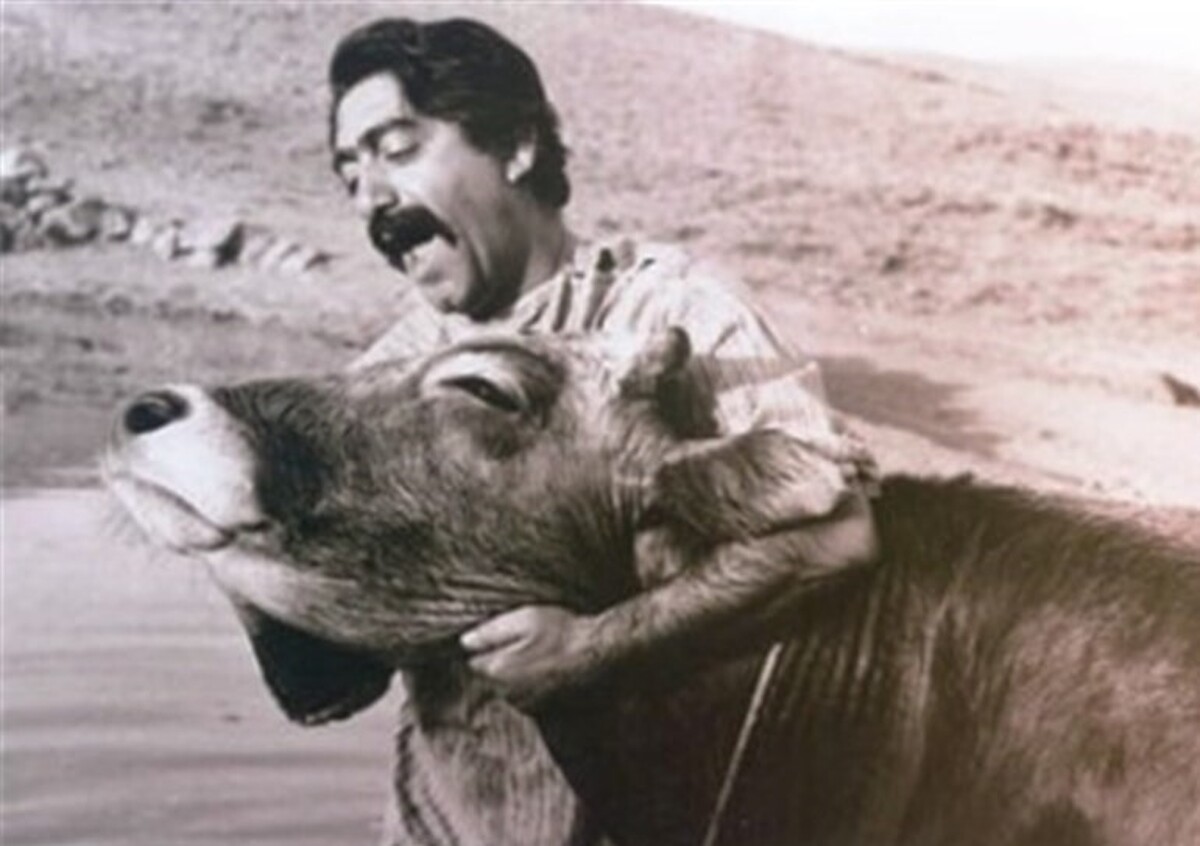 موزه سینمای ایران نسخه اصلاح و مرمت شده فیلم سینمایی «گاو» به کارگردانی داریوش مهرجویی را به همراه تصاویری از پشت صحنه این فیلم نمایش می‌دهد.