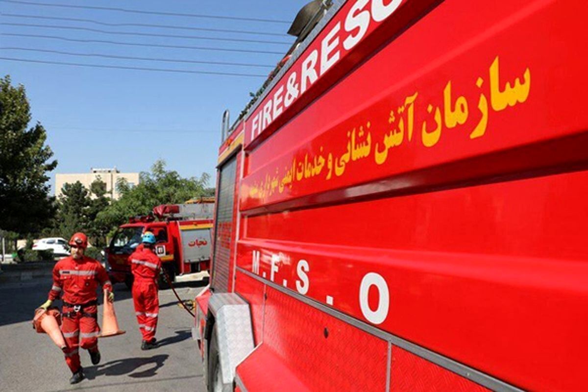 یک مرد جوان به همراه پدر پیرش قربانی بی احتیاطی مادر شدند.