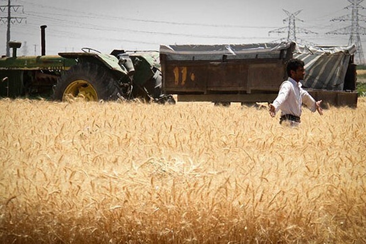 وزیر جهادکشاورزی از پرداخت تمام مطالبات گندم‌کاران خبر داد.