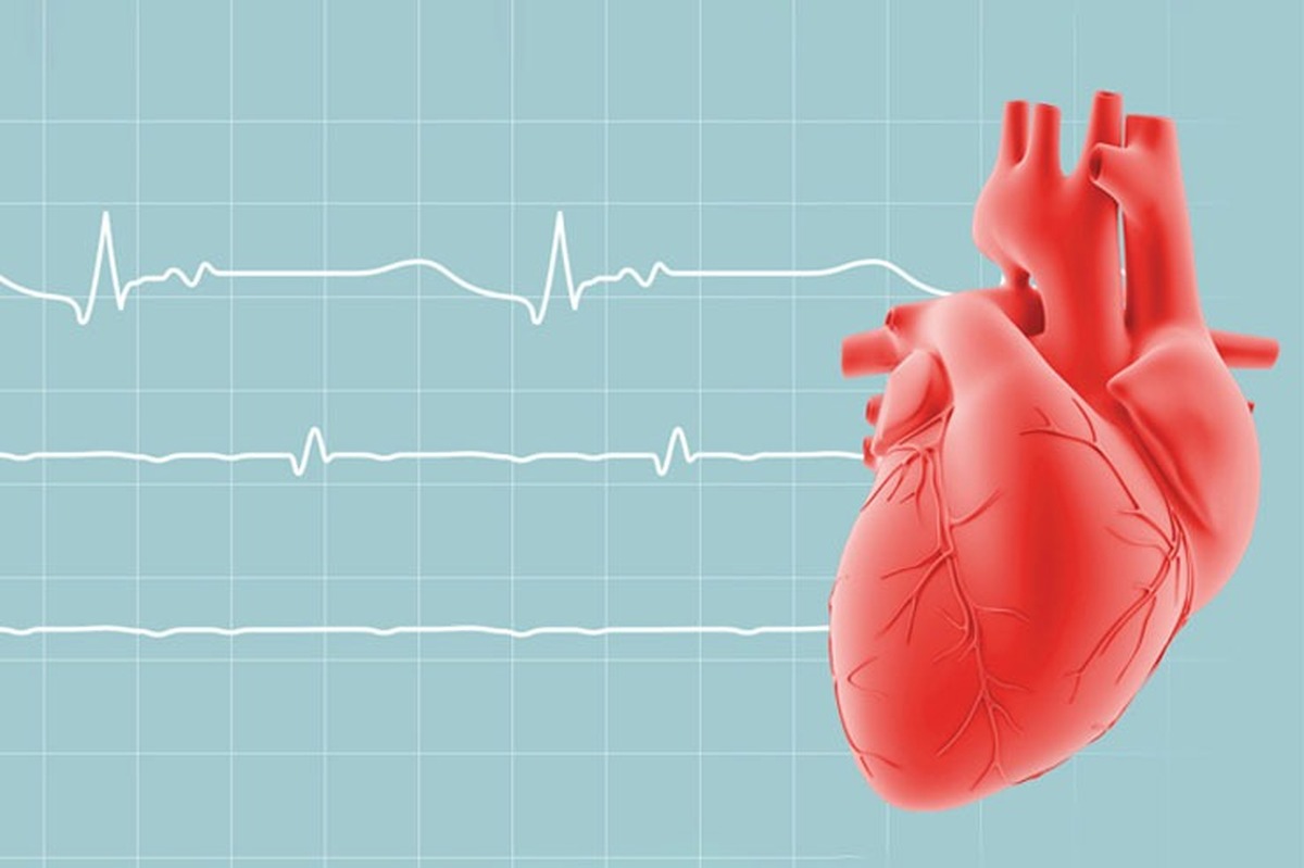 مهم‌ترین عوامل بیماری‌های قلبی و روش‌های مراقبتی ما از این ماهیچه تپنده کدام‌اند؟