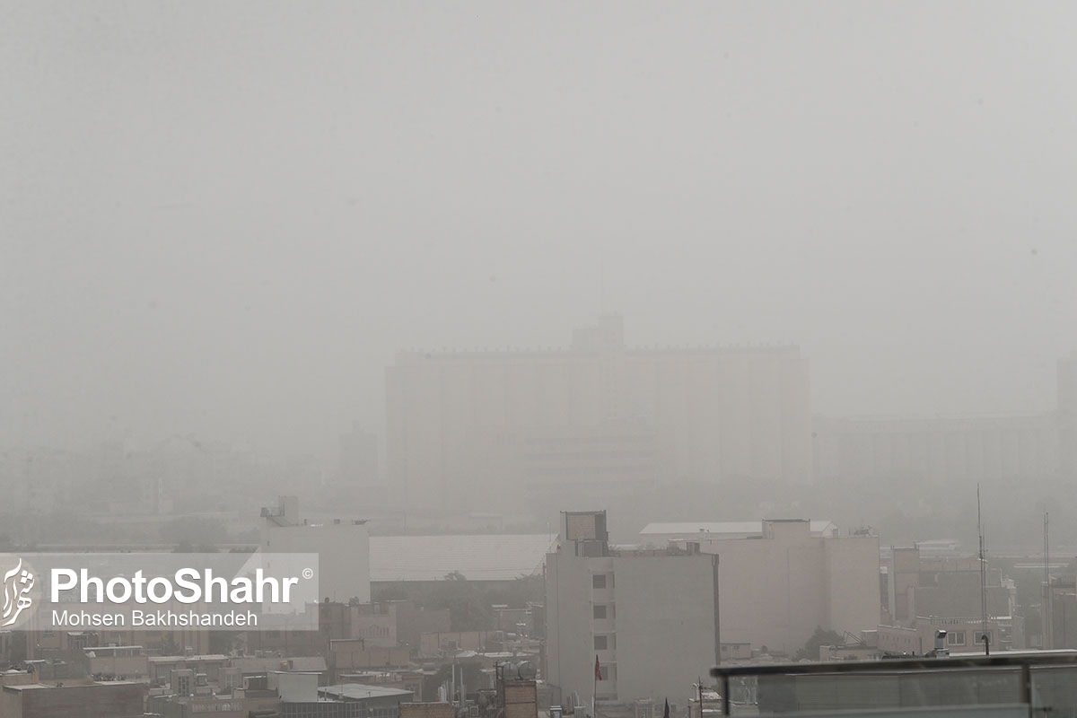 استاندار خراسان رضوی گفت: باید تکلیف پروژه‌های خاص مربوط به موضوع ریزگردهای منطقه سرخس طی یک هفته آینده مشخص و گزارش آن اعلام شود.