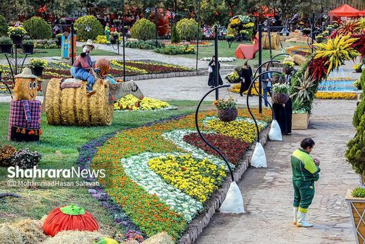 شاید تعداد نوبرانه‌های پاییز کمتر از تابستان باشد، اما حال و هوای رنگ و طعم آن دست کمی از سایر فصل‌ها ندارد. حالا قرمز و نارنجی نوبرانه انار و نارنگی و پرتقال را بگذارید کنار برگ‌های خزانی که خش خشان هم دلبرانه و ناب است. این تصویر نخستین چیزی است که در رویداد پاییزی امسال در باغ مشهد می‌بینید.
