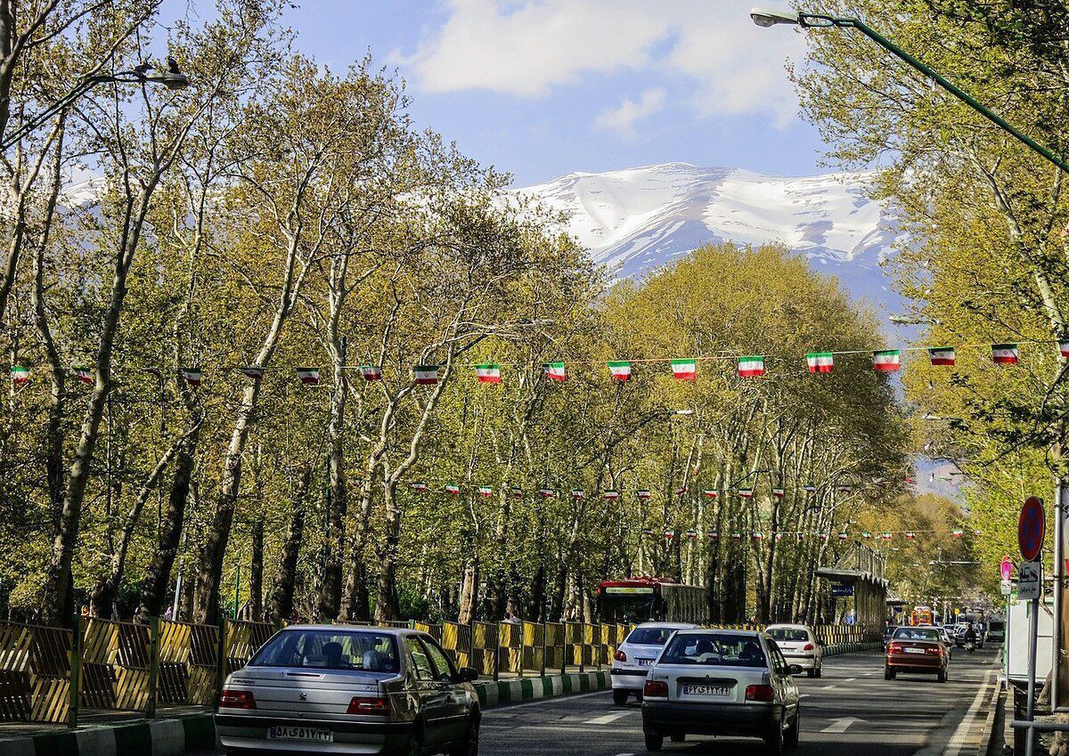 شهردار تهران در روز‌های گذشته از انتقال درختان مشهدی برای کاشت مجدد در خیابان ولیعصر تهران خبر داده بود.