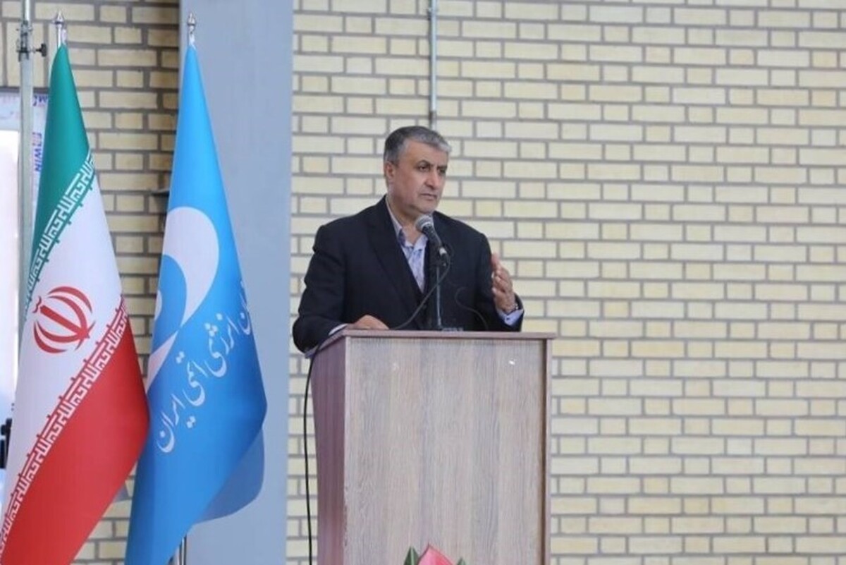 رئیس سازمان انرژی اتمی گفت: اکنون برق هسته‌ای به یکی از اولویت‌های بسیاری از ملت‌ها و کشورها تبدیل شده و ۵ منطقه ساحلی را برای احداث این پروژه‌ها جانمایی کرده‌ایم.