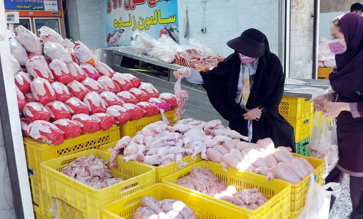 مدیرعامل اتحادیه مرغداران گوشتی گفت: طی ماه های اخیر ۱۳۰ تا ۱۳۶ میلیون قطعه جوجه ریزی در واحد‌های مرغداری صورت گرفت که همین امر منجر به ثبات قیمت مرغ در بازار شده است.