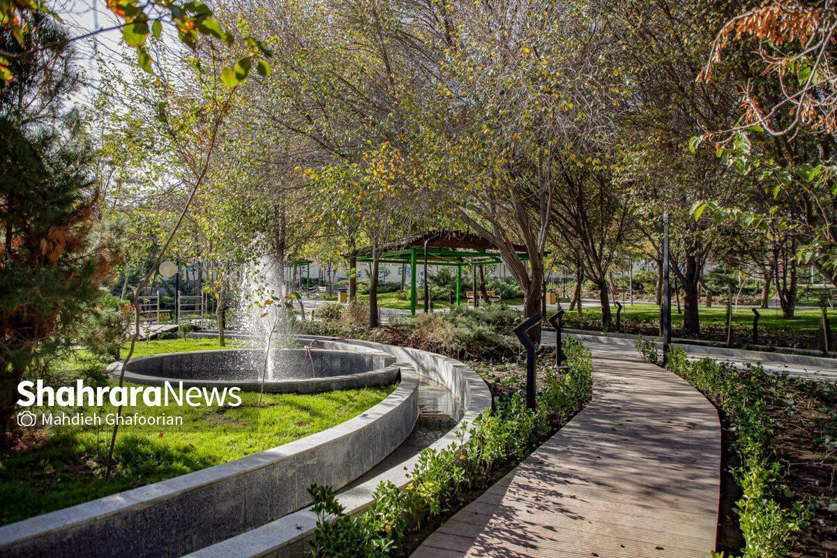 مدیرکل بهبود محیط زیست شهری شهرداری مشهد از تجهیز و توسعه سایت بانوان بوستان‌های رجا و امید واقع در محدوده شهرداری منطقه ۶ خبر داد.