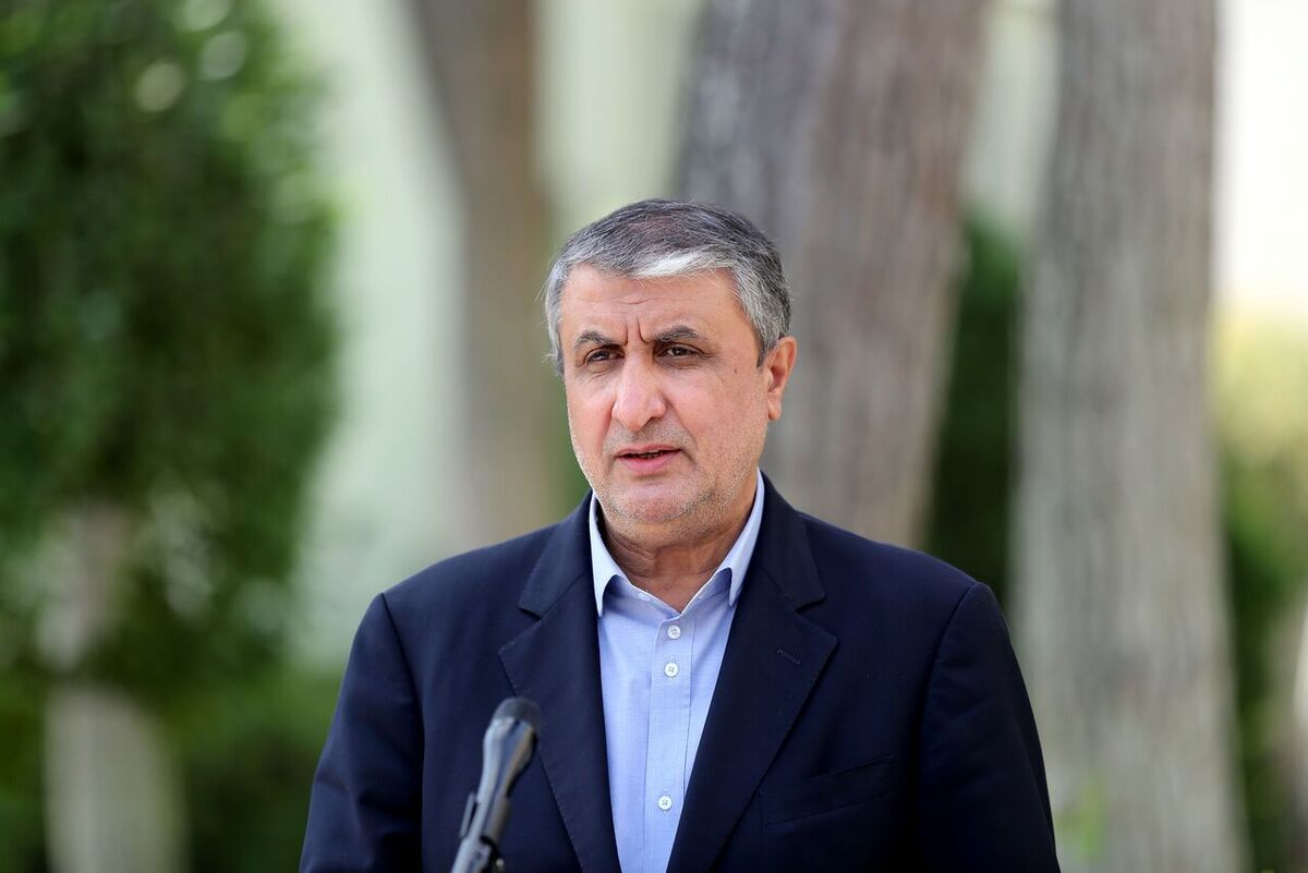 رئیس سازمان انرژی اتمی گفت: ما بر اساس «قانون اقدام راهبردی برای لغو تحریم‌ها و صیانت از منافع ملت ایران» غنی‌سازی را انجام می‌دهیم.
