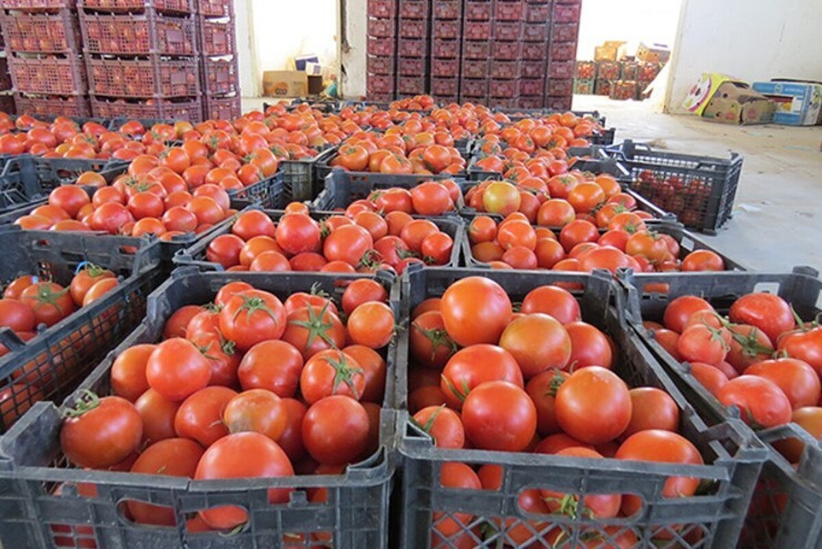 رئیس اتحادیه بارفروشان مشهد گفت: یلدا برای ما مثل باقی ایام سال است و همکاران ما به دنبال گران فروختن در شب یلدا نیستند؛ زیرا بار تره‌بار را نمی‌توان نگه داشت و عرضه و تقاضا در این زمینه تعیین‌کننده است.