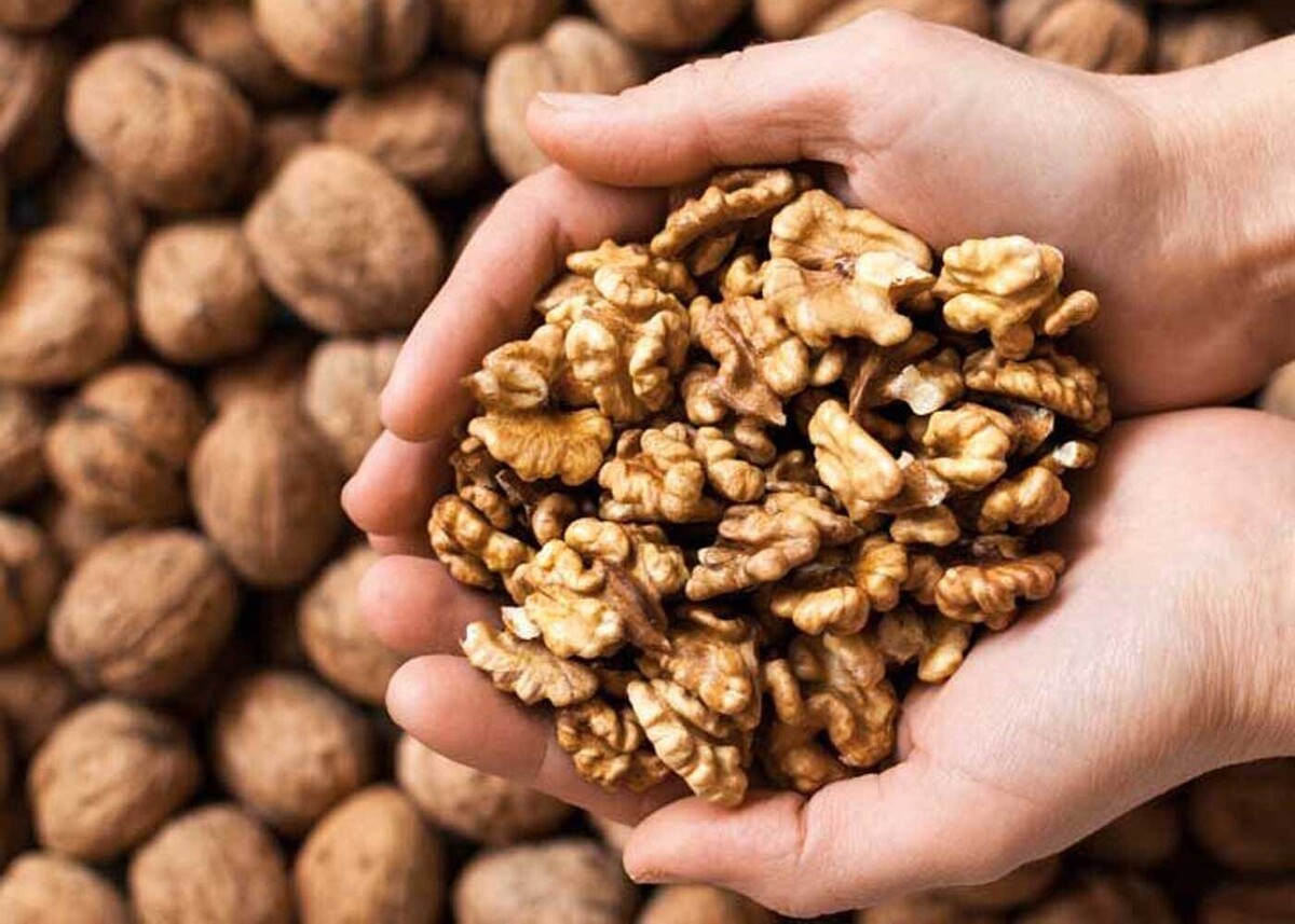 در این مطلب به بررسی قیمت انواع گردو می‌پردازیم.