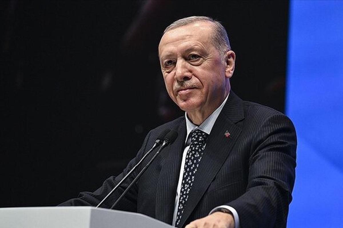 اردوغان معتقد است اسلام هراسی و بیگانه هراسی که جوامع غربی را مانند پیچک سمی احاطه کرده در راس تهدیدهای حقوق‌بشری قرار دارد.