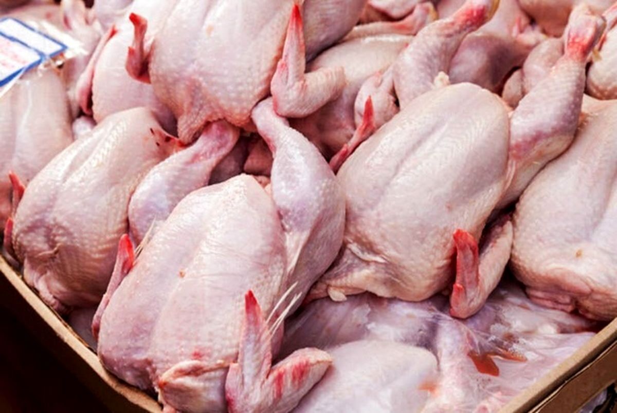 معاون بازرسی و نظارت اتاق اصناف ایران گفت: با تدبیر انجام‌شده در وزارت صمت و تأمین به‌موقع نهاده‌های دامی، از دو هفته دیگر شاهد آرامش در بازار مرغ و روند کاهشی قیمت‌ها خواهیم بود.