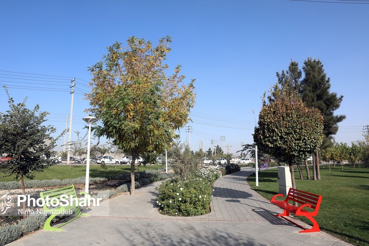 مدیر کل بهبود محیط زیست شهری شهرداری مشهد گفت: ۲۶ پروژه عمرانی و بازپیرایی فضای سبز منطقه یک در سال جاری اجرایی می‌شود.