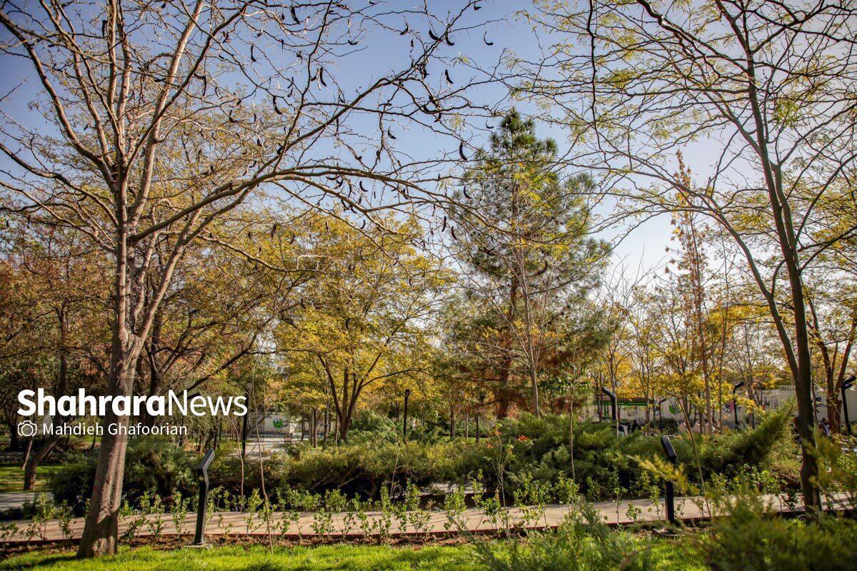 در روزهای اخیر تصاویری از برخی نقاط شهر مشهد منتشر شده که نشان می‌دهد تعدادی شغال از بیرون شهر به داخل شهر آمده و باعث نگرانی شهروندان شده‌اند! در یک فیلم که در فضای مجازی منتشر شده دو شغال در پارک کوه‌سنگی مشهد دیده می‌شوند که برخی در مورد اینکه شغال هستند یا بچه گرگ تشکیک ایجاد کرده‌اند!