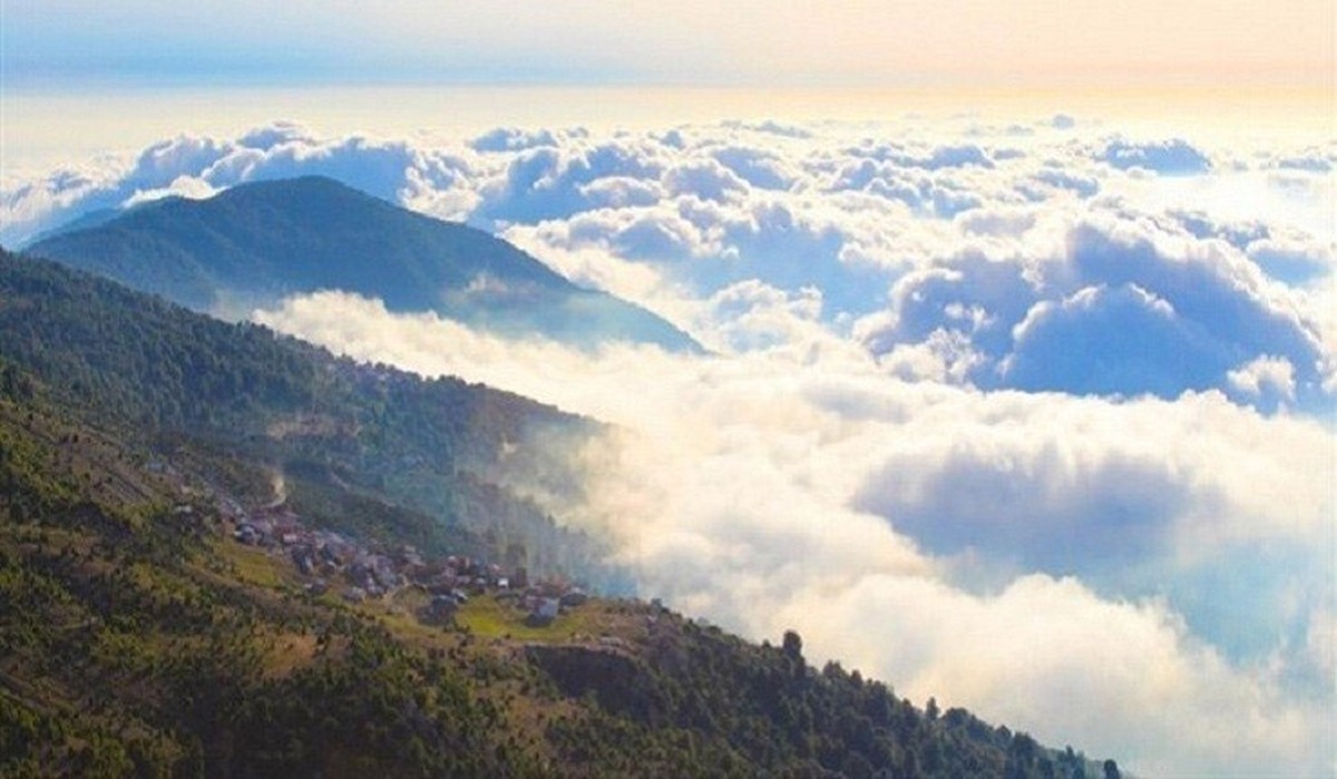 ویدئویی بی نظیر از جنگل درازنو گلستان در اواخر پاییز را مشاهده می‌کنید.