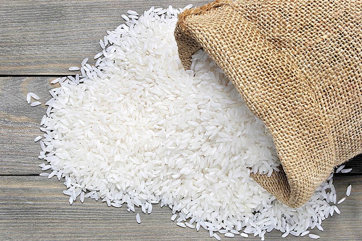 معاون بازرگانی وزارت جهادکشاورزی گفت: طی۱۰ سال گذشته به طور میانگین واردات برنج خارجی ۳۰ درصد افزایش یافته است.
