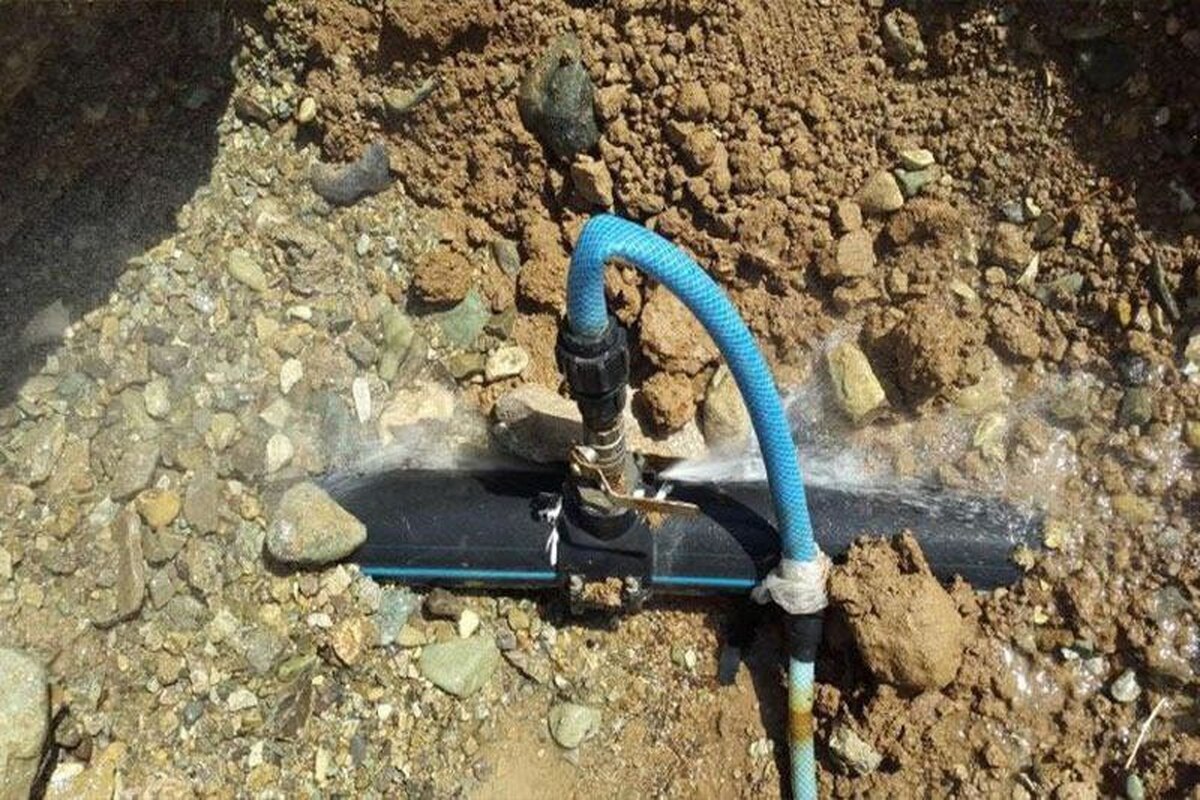 مدیرعامل شرکت آب و فاضلاب خراسان رضوی از کشف و جمع آوری حدود ۳۰۰۰ فقره انشعاب غیر مجاز آب در نیمه نخست سال جاری در این استان خبرداد.