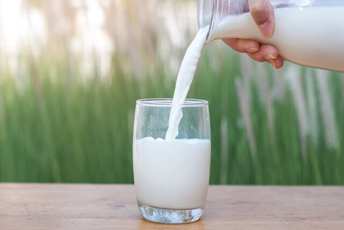 برخی از متخصصان معتقدند، شیر پاستوریزه برای رفع پوکی استخوان بهتر از شیر فله است.
