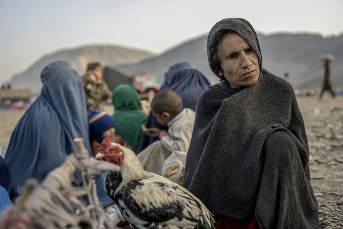 سازمان جهانی بهداشت (WHO) اعلام کرده است که حدود ۴۸ درصد از مهاجران برگشت‌کننده از پاکستان به افغانستان را زنان تشکیل می‌دهند.