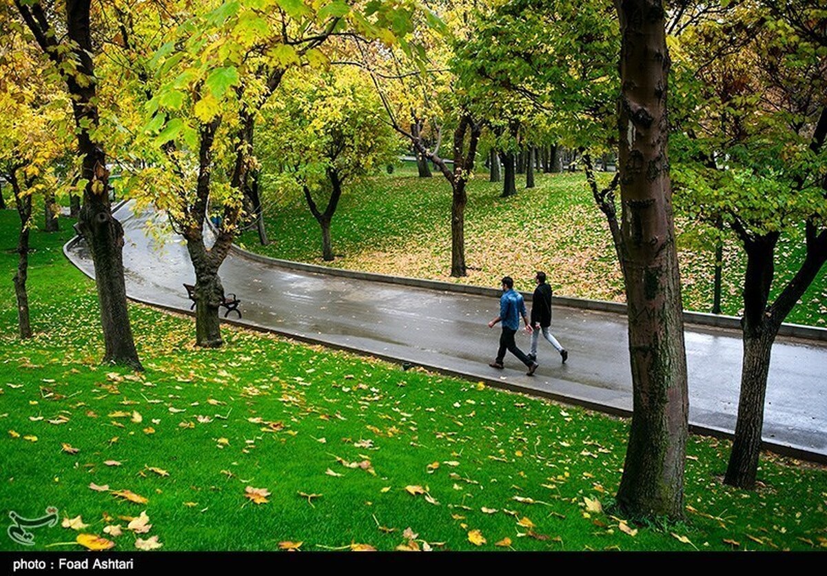 فیلمی از باران پاییزی در بوستان ملت که حال و هوای مردم مشهد را عوض کرده است مشاهده می‌کنید.