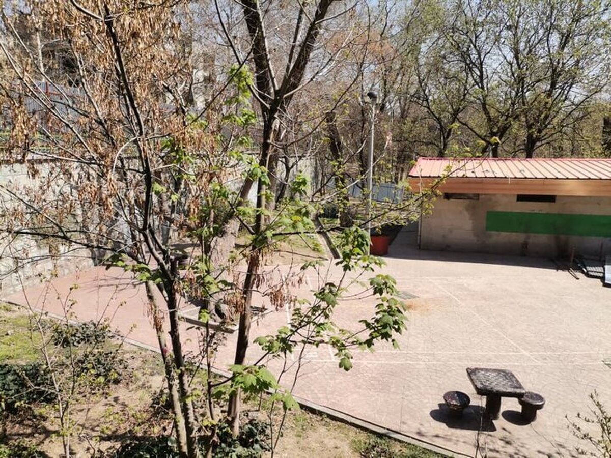 معاون میراث فرهنگی استان تهران از حضور نیروهای یگان حفاظت در محوطه پارک قیطریه و حذف حصارهایی که به تازگی برای ساخت مسجد در پارک نصب شده بود خبر داد.