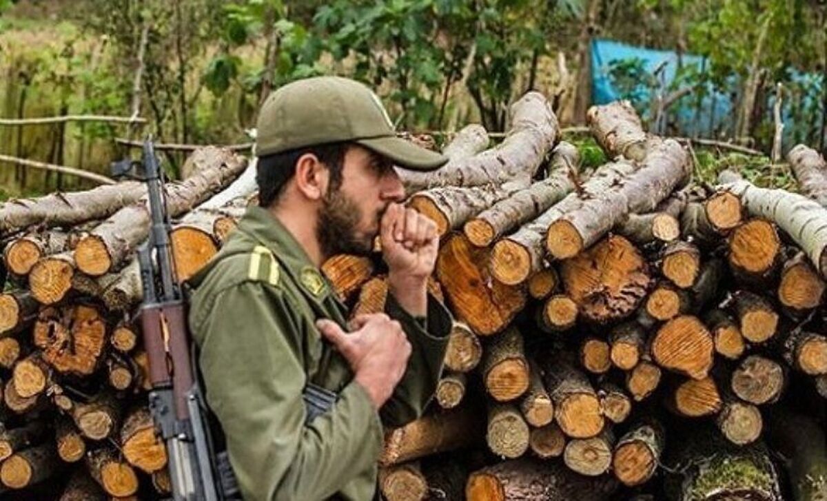 فرمانده یگان حفاظت منابع طبیعی و آبخیزداری کشور، از تداوم روند افزایشی قاچاق چوب های جنگلی، تصرف اراضی ملی خبر داد و میزات قاچاق درختان را سالانه ۹۰ هزار اصله درخت برآورد کرد.