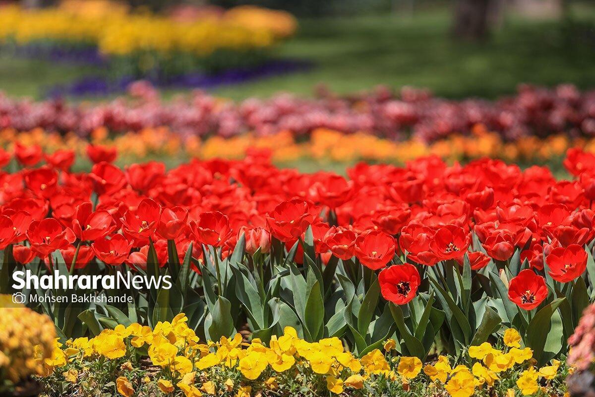 مزار شهدا در ۱۰ بوستان، پارک ملت و باغ گل‌ها پذیرای گل‌های زیبای بهار شده است.