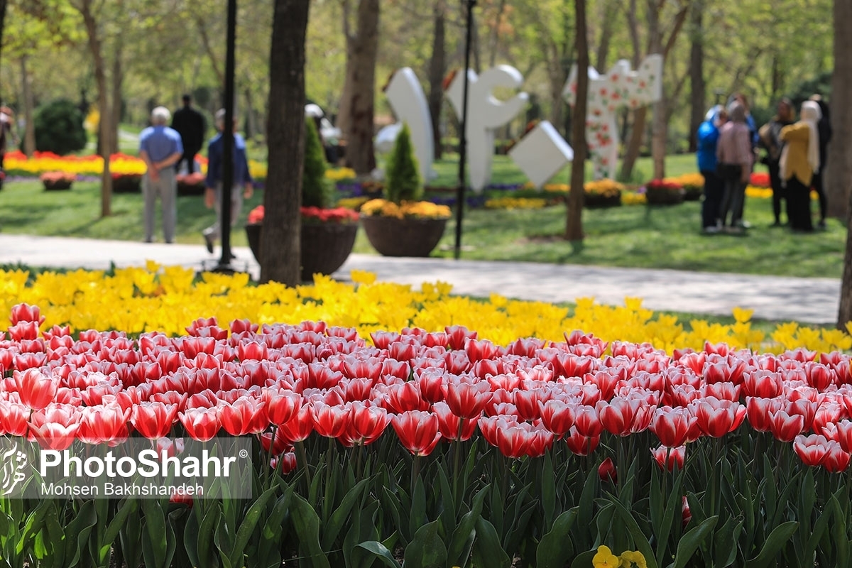 کاشت گل‌های لاله در بوستان ملت و باغ گل‌ها فضاآرایی متفاوتی به این مکان‌های دیدنی داده است.