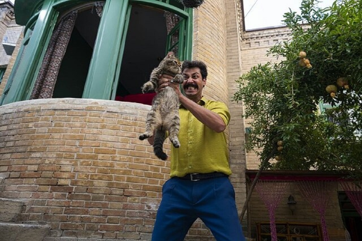 «سعید خانی» تهیه‌کننده فیلم «سال گربه» گفت: این فیلم یک کمدی فانتزی است که در سال‌های اخیر کمتر در سینمای ایران مورد توجه بوده است.