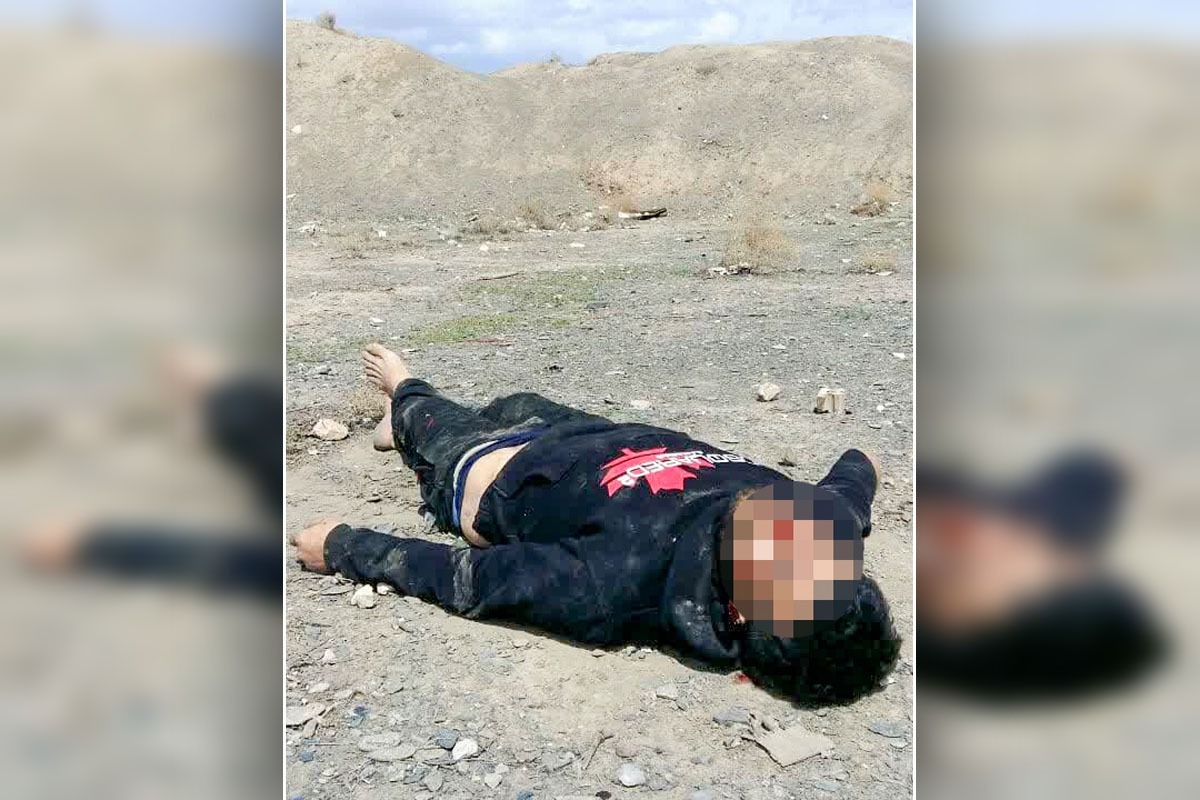 با شناسایی هویت جسدی که حیوانات بخش‌هایی از آن را خورده بودند، گره این پرونده گشوده شد.