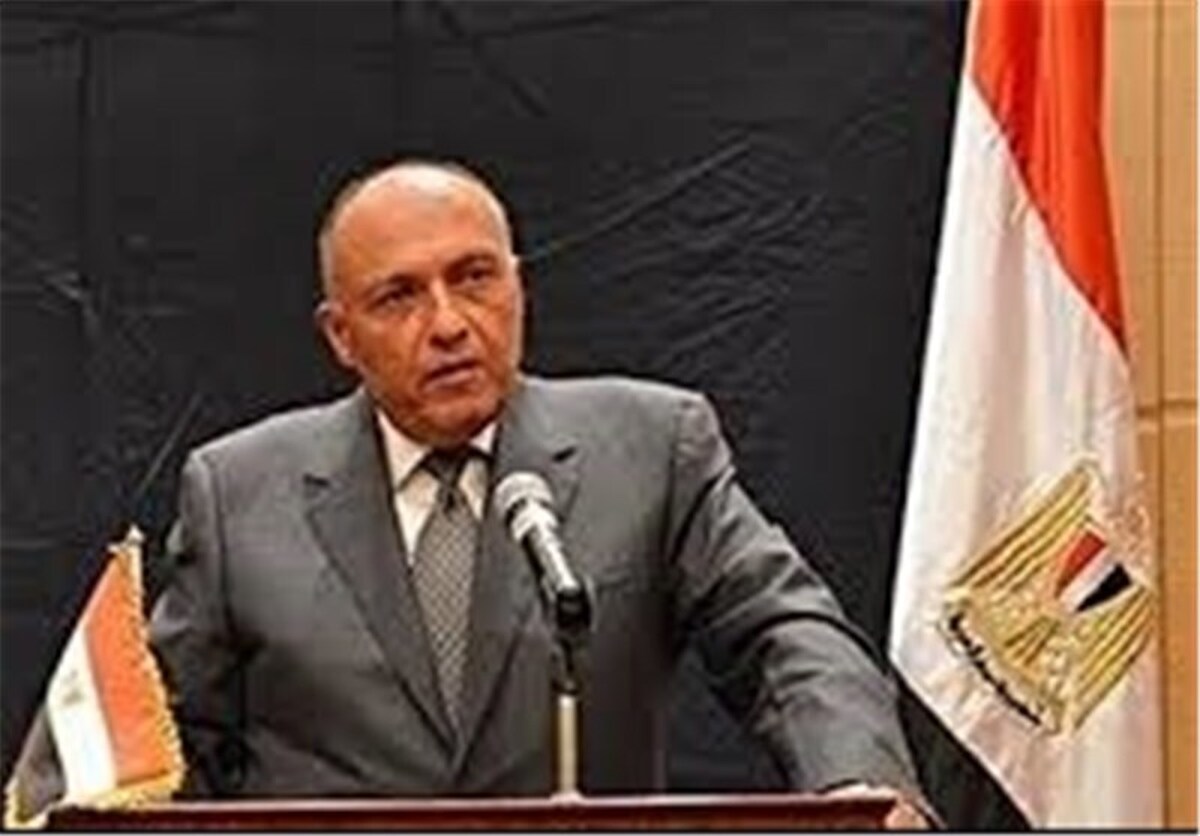 یک منبع آگاه خبر داد که در خلال تماس تلفنی وزرای خارجه ایران و مصر پیام هشداری جهت ارسال به رژیم صهیونیستی داده شده است.
