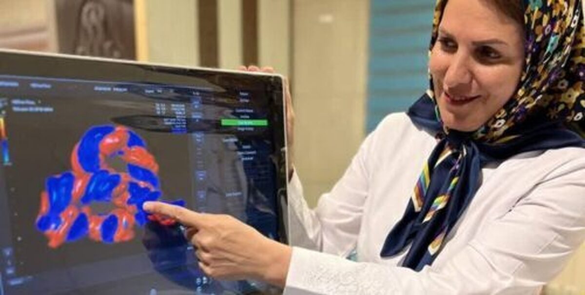 دکتر حمیرا وفایی به همراه تیم پزشکی موفق شدند با انجام یک عمل جراحی نادر در بیمارستان نمازی شیراز جان جنین دارای نارسایی قلبی در رحم مادر را نجات دهند.