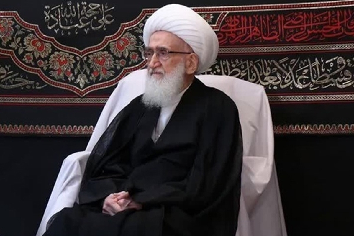 مرجع تقلید شیعیان در پیامی جنایت دردناک رژیم صهیونیستی در بیمارستان شفای غزه را محکوم کرد.