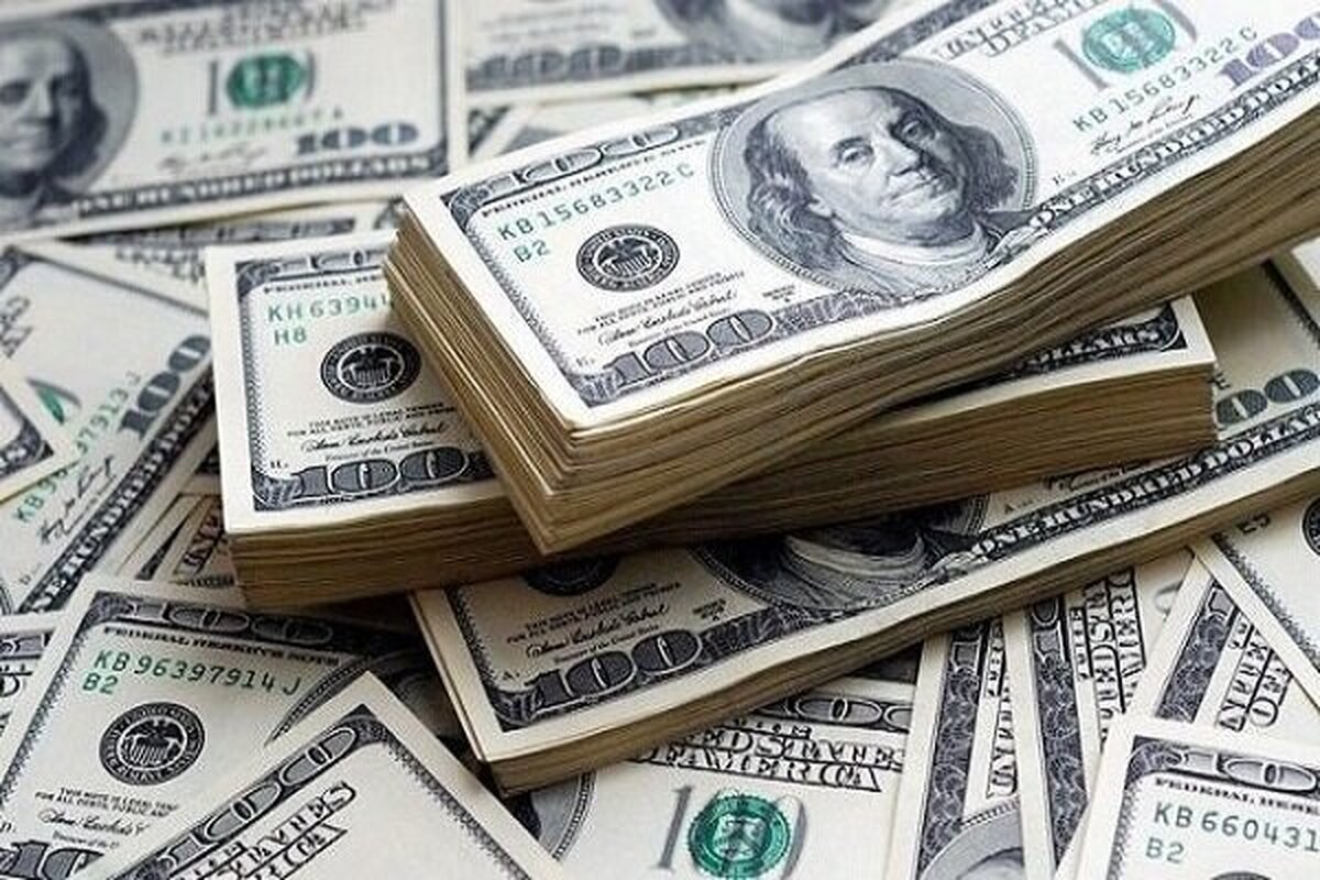 عضو کمیسیون اقتصادی مجلس شورای اسلامی گفت: سیاست غلطی به‌کار گرفته شده و همان سیاست غلط در بیست الی سی سال اخیر تکرار شده و امروز هم شاهدش هستیم و در مقابل نوسان‌سازی‌های نرخ ارز انفعال به خرج داده می‌شود.