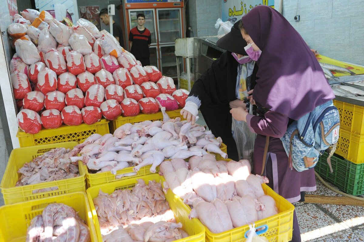 مدیر بازرسی و نظارت سازمان جهاد کشاورزی خراسان رضوی با اشاره به کاهش ۱۰ هزار تومانی قیمت مرغ در سطح استان گفت: مرغ زنده اکنون در بازار کیلویی ۶۰ تا ۶۰ هزار و ۵۰۰ تومان قیمت دارد.