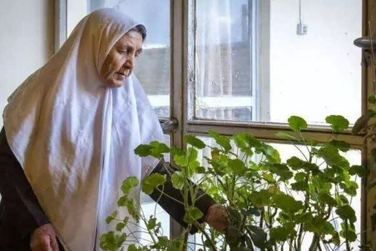 به گفته رئیس دبیرخانه شورای ملی سالمندان، طرح توانمندسازی زنان سالمند با هدف کمک به آنها برای توانمند سازی تدوین شده و به زودی رونمایی می‌شود.