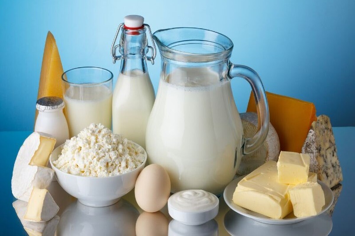 رئیس گروه بهبود تغذیه معاونت بهداشت با اشاره به اینکه زنان بیشتر در معرض خطر ابتلا به پوکی استخوان قرار دارند، مصرف منابع لبنی را در کاهش خطر پوکی استخوان ضروری دانست.
