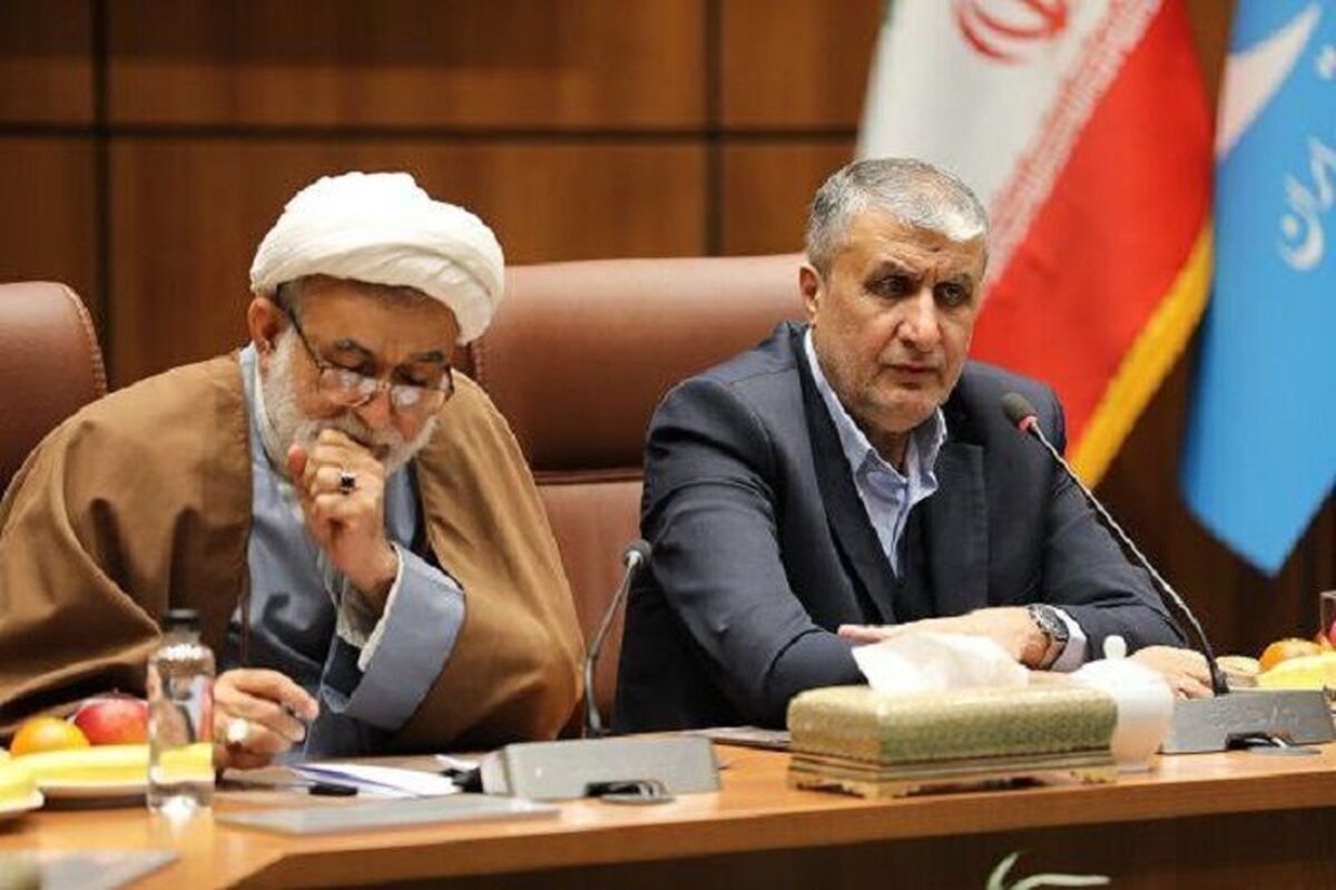 رئیس سازمان انرژی اتمی با بیان اینکه طبق قانون برنامه هفتم توسعه، افزایش سه برابری ظرفیت تولید برق هسته‌ای آورده شده است، ‌گفت: سازمان انرژی اتمی ایران با فعالیت شبانه روزی پنج هزار نفر، احداث واحدهای ۲ و ۳ نیروگاه اتمی بوشهر را دنبال می‌کند.