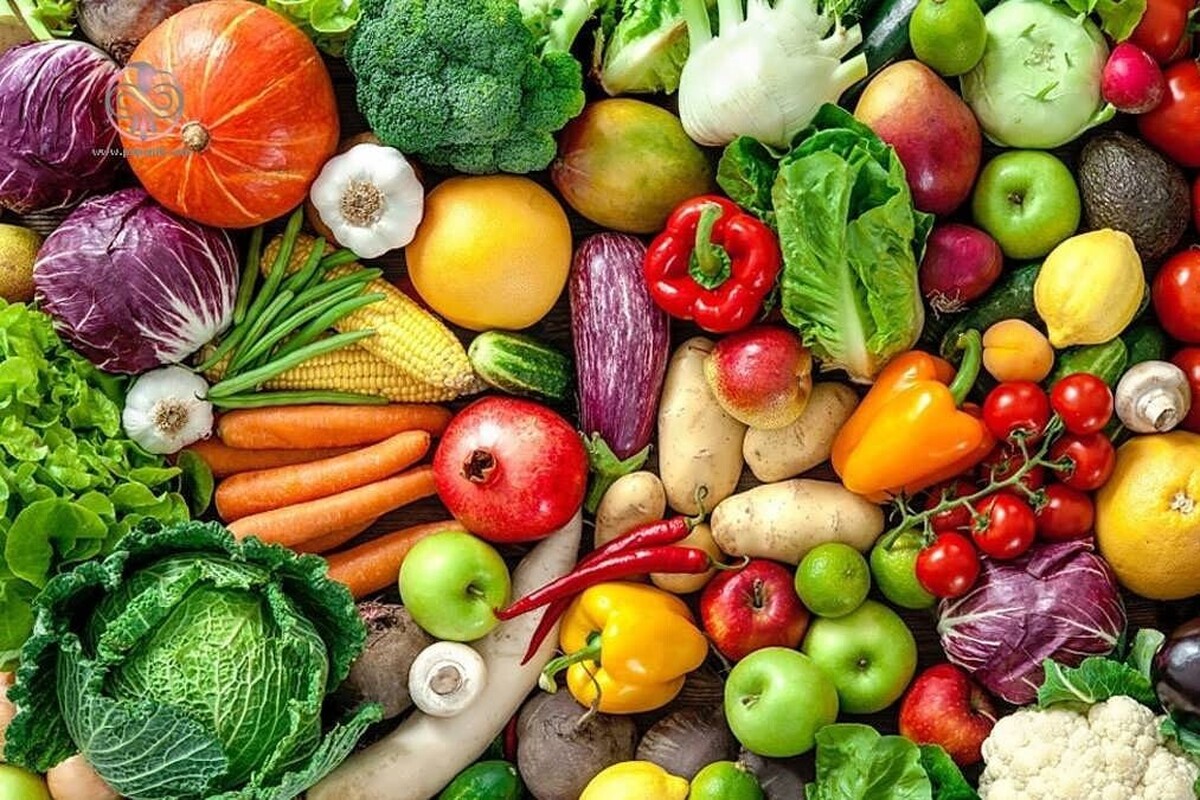 متخصص تغذیه و عضو هیئت علمی دانشگاه علوم پزشکی مشهد گفت: در زمستان شیوع بیماری‌های ویروسی سبب ایجاد مشکلات تنفسی می‌شود.