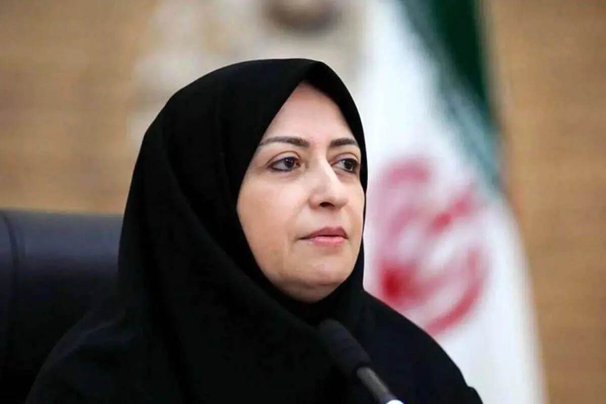 معاون رئیس‌جمهور و رئیس سازمان حفاظت محیط زیست گفت: در مواجهه با معضل آلودگی هوا انکار مسئله نخواهیم داشت؛ باید توجه کنیم که آلودگی هوا یک‌شبه ایجاد نشده، به همین دلیل راهکار ما نیز نمی‌تواند یک‌شبه نتیجه بدهد.