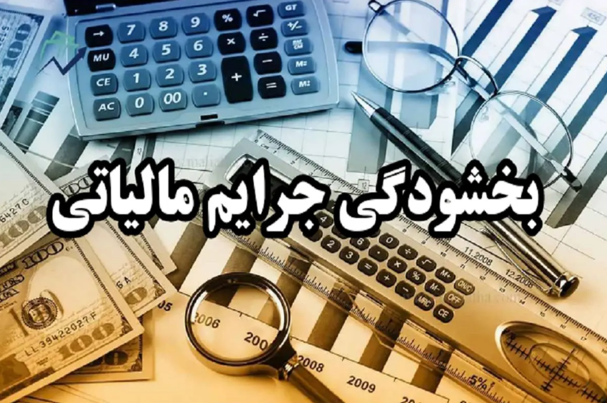 به مناسبت دهه فجر، در صورت پرداخت اصل بدهی هر سال تا ۲۹ بهمن بخشودگی جرائم مالیاتی صورت می‌گیرد که امسال تا سقف ۲ میلیارد تومان برای اشخاص حقوقی و تا سقف ۵۰۰ میلیون تومان برای اشخاص حقیقی اعمال می‌شود.