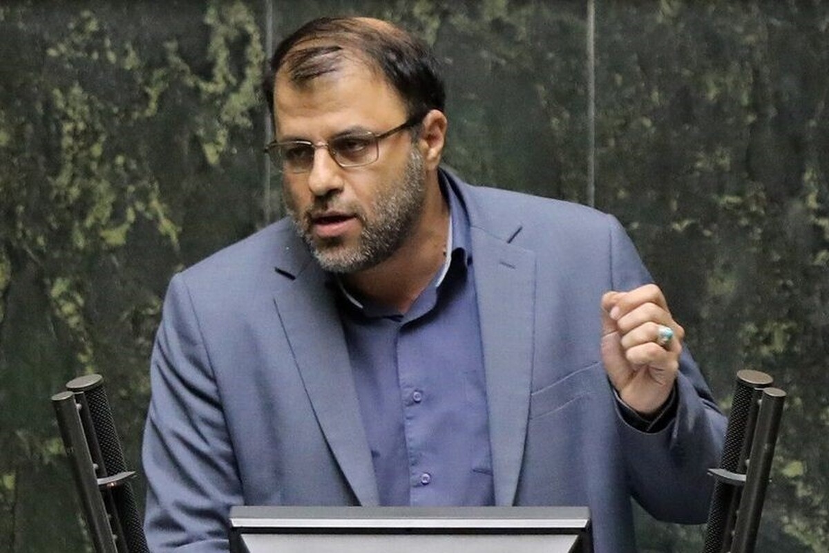 نماینده مردم مشهدوکلات و عضو کمیسیون اقتصادی مجلس شورای اسلامی گفت: در حال حاضر سود دولت و بخش خصوصی در برابر هم تعریف می‌شود و این دو بخش به‌صورت رقیب در اقتصاد ما فعالیت می‌کنند.
